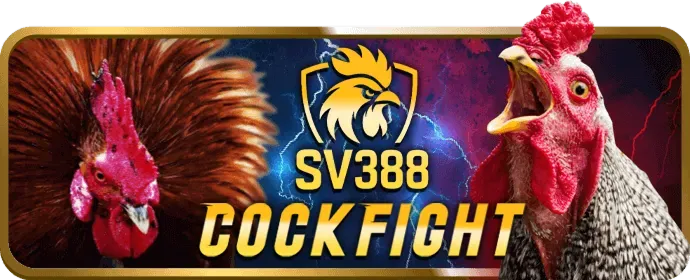 Chương trình VIP casino